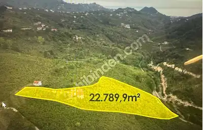 RE/MAX NADİRDEN BOZTEKEDE YATIRIMLIK ARAZİ