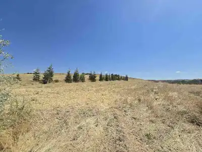 KIRIKKALE ÇULLU'DA 11,5 DÖNÜM KADASTRO YOLU CEPHELİ TARLA