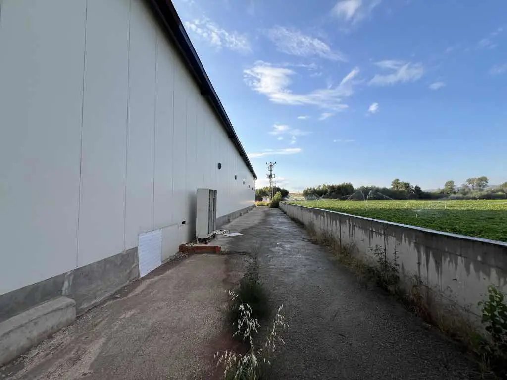 Property image 24