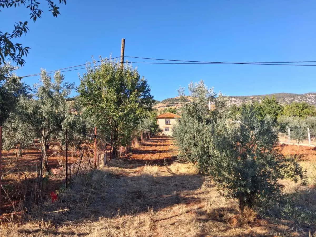Property image 8