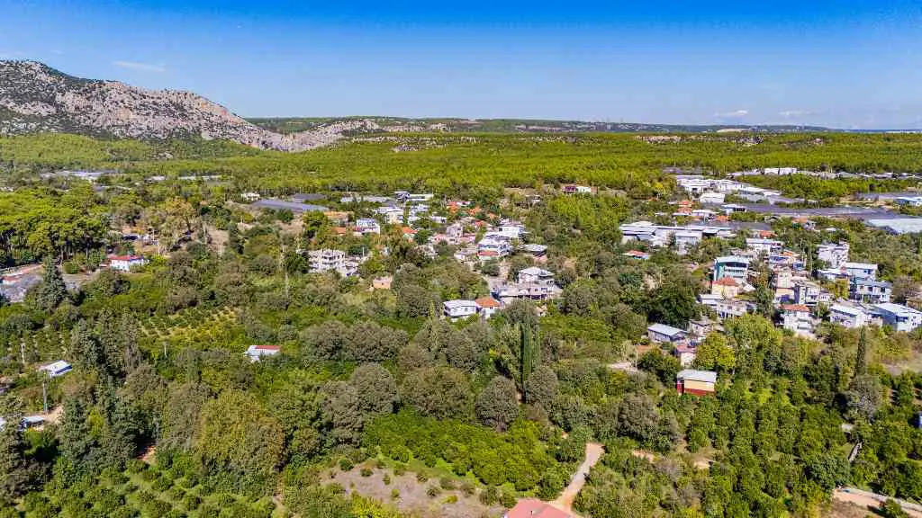 Property image 22