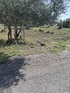 BURDUR MERKEZ KUMLUCA'DA 3 DÖNÜM HİSSELİ SATILIK ARSA