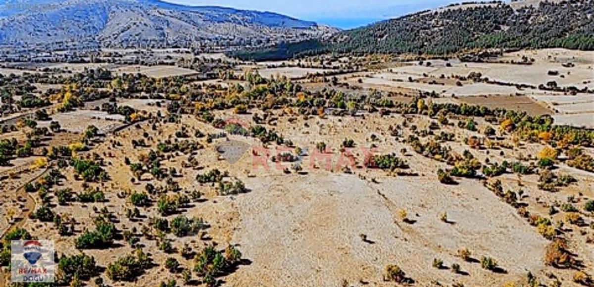 RE/MAX DOĞUDAN GEZİN MERKEZDE SATILIK FIRSAT TARLA