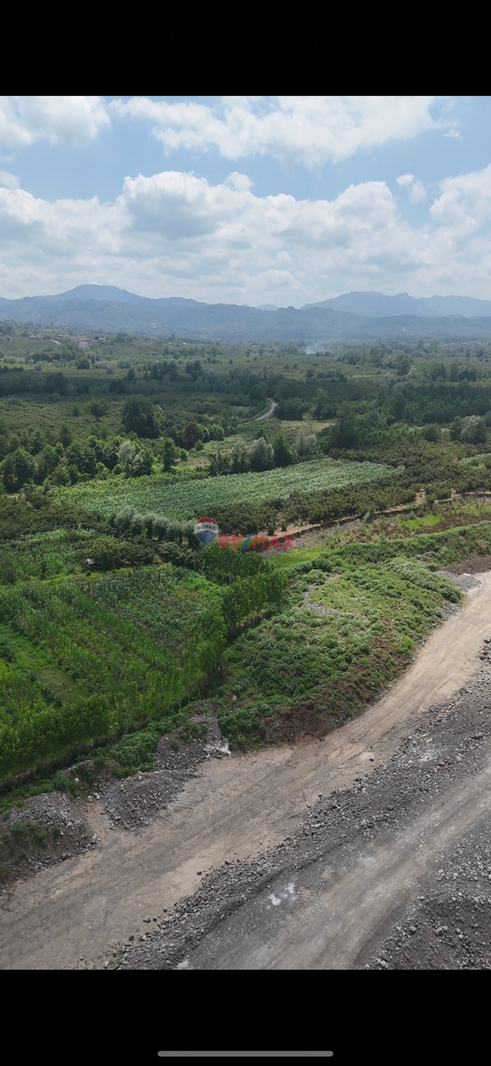 SATILIK FINDIK BAHÇESİ – DOĞAYLA İÇ İÇE, VERİMLİ VE YATIRIMLIK TARLA 🌿🌰