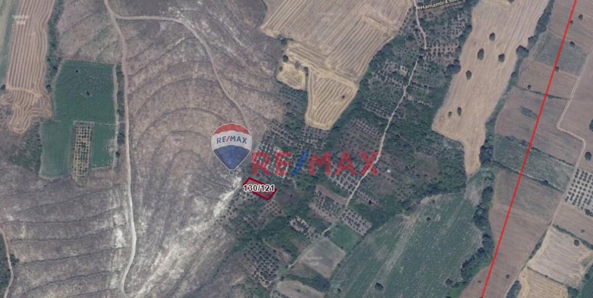 BALIKESIR MANYAS HAMAMLI'DA SATILIK BAĞ