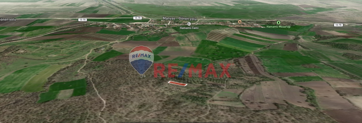 BALIKESIR MANYAS HAMAMLI'DA SATILIK BAĞ