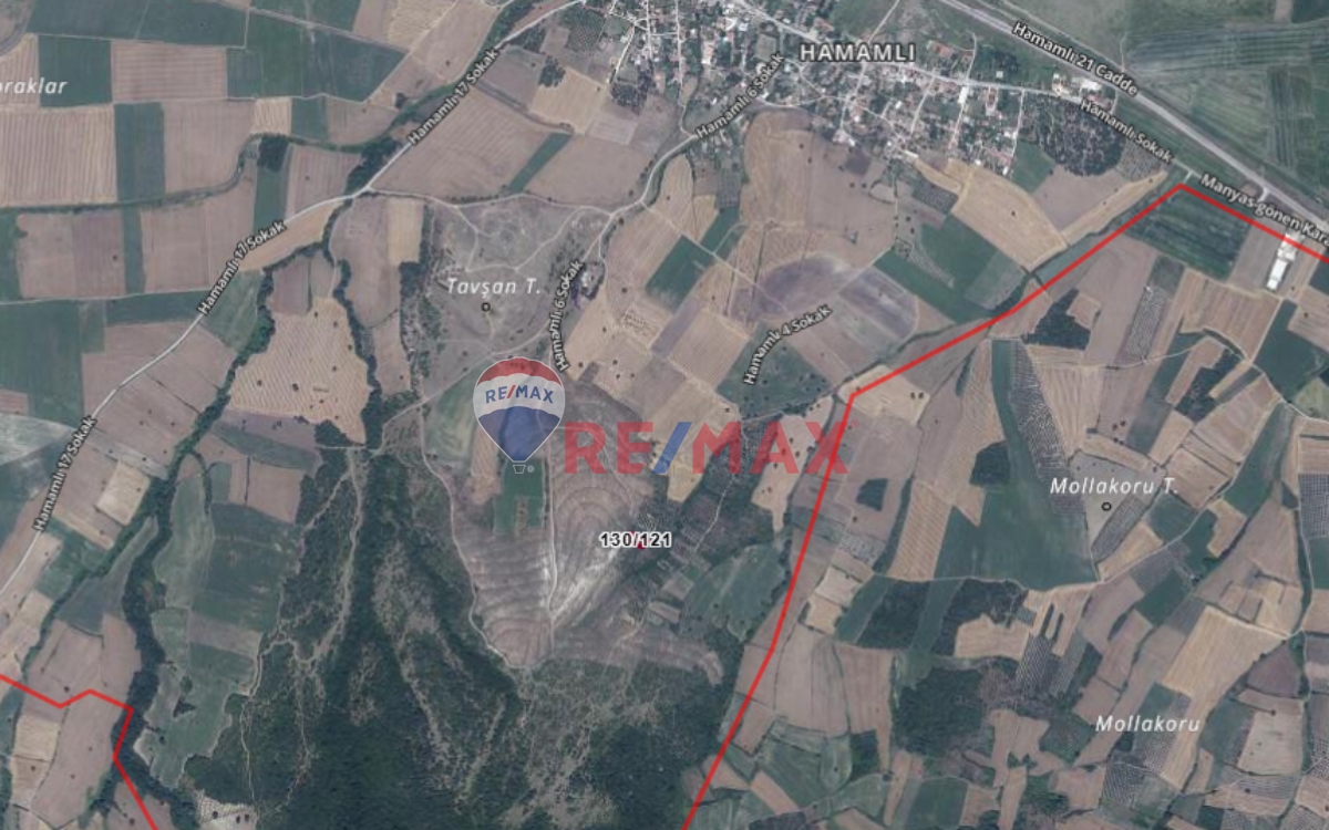 BALIKESIR MANYAS HAMAMLI'DA SATILIK BAĞ