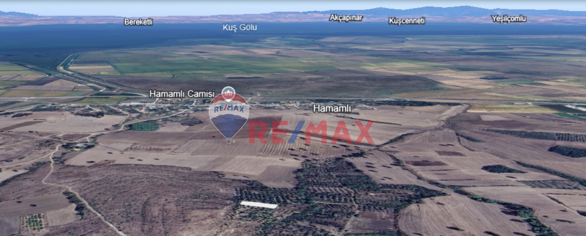 BALIKESIR MANYAS HAMAMLI'DA SATILIK BAĞ