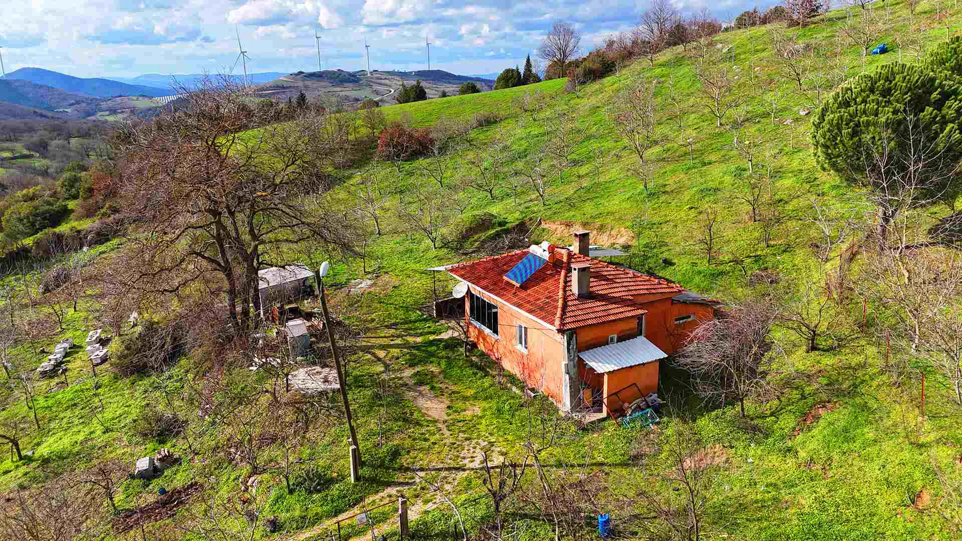 Property image 12