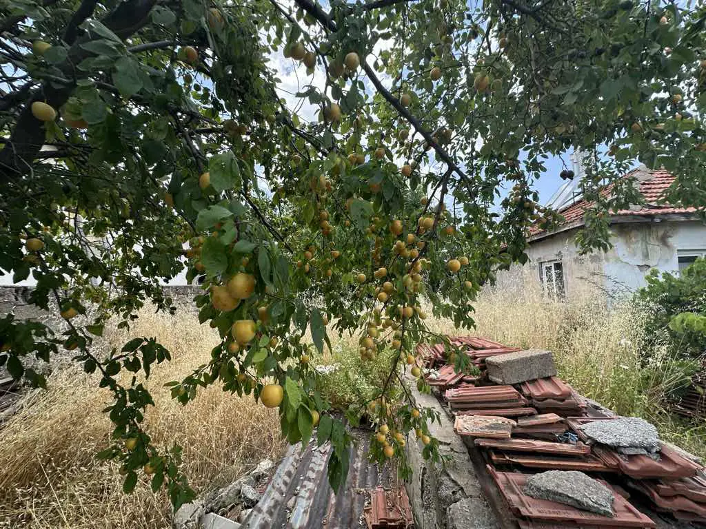 Property image 18