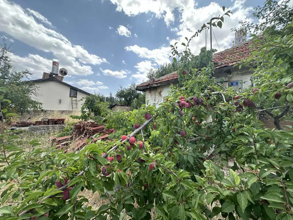 Property image 16
