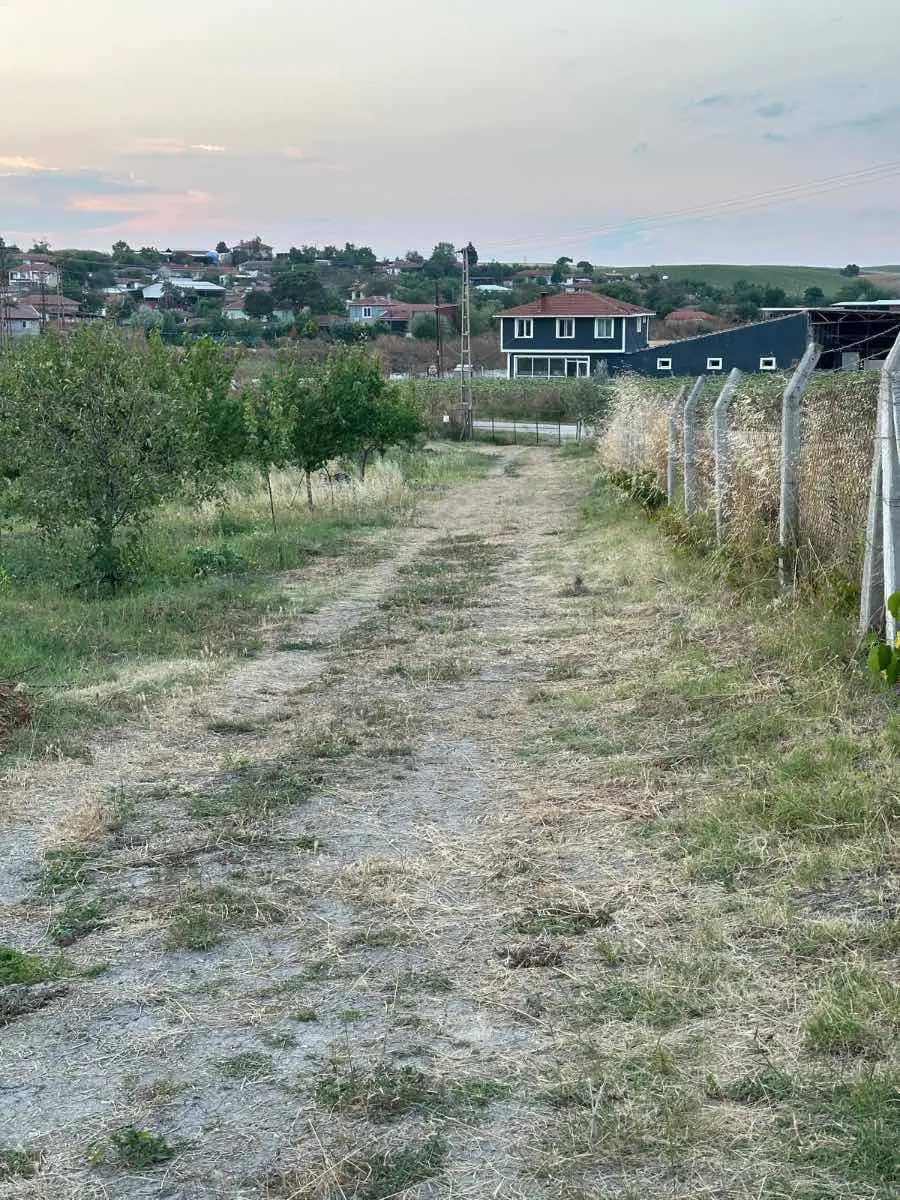 Property image 8
