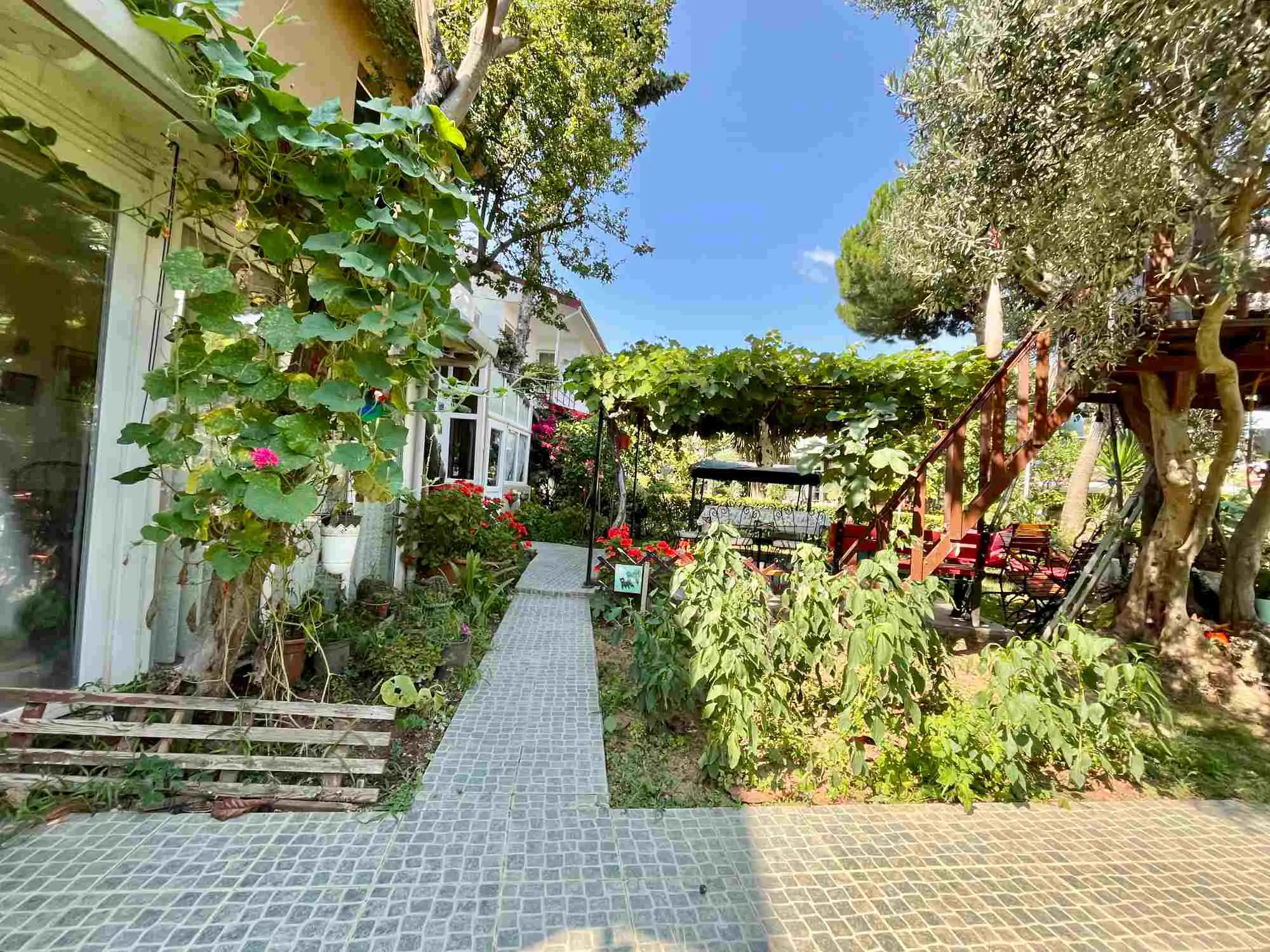 Property image 23