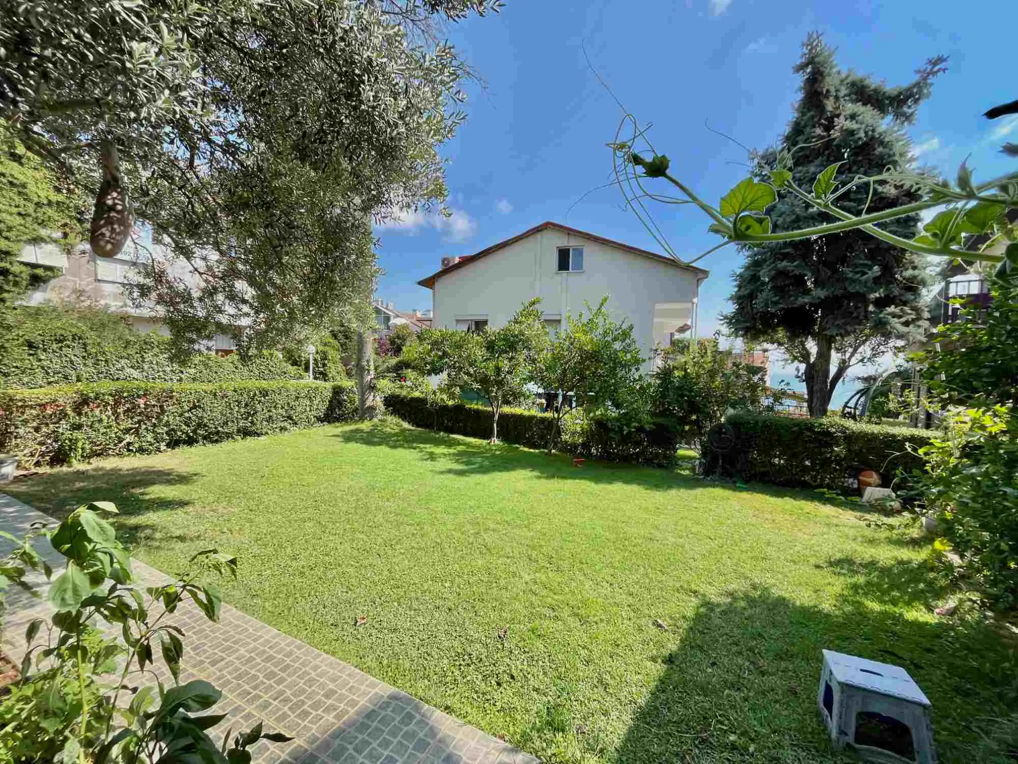 Property image 18