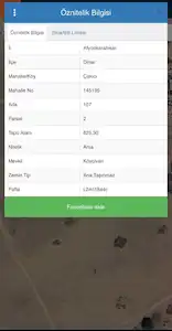AFYONKARAHİSAR DİNAR ÇAKICI KÖYÜ SATILIK 825 M2 ARSA