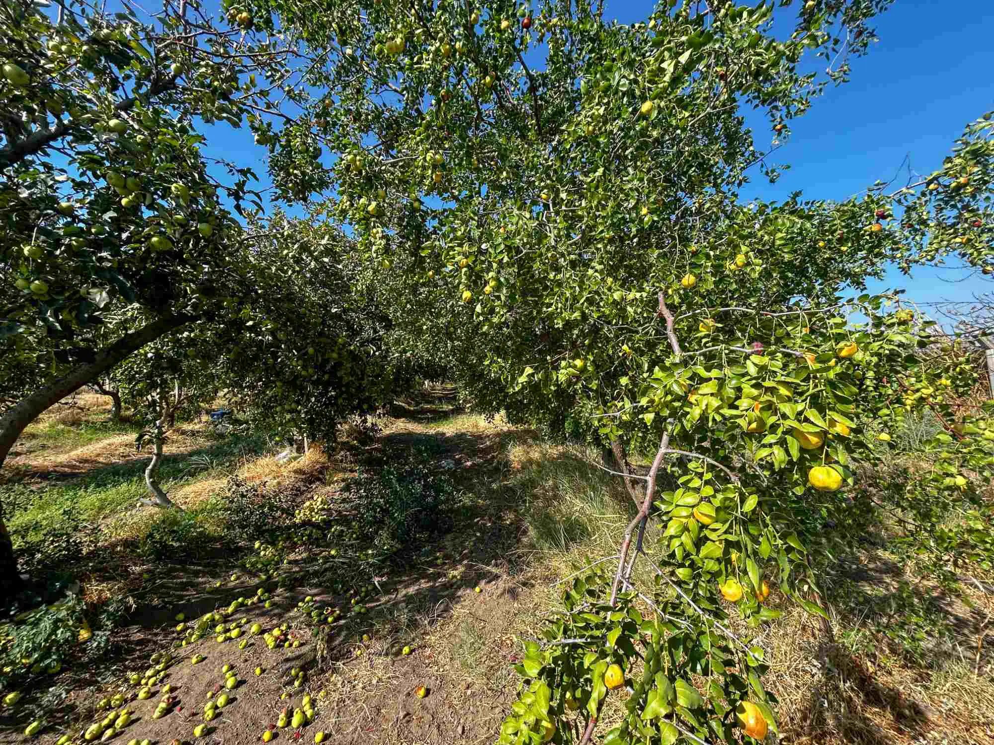 Property image 27