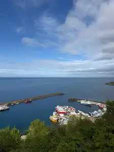 TRABZON ÇARŞIBAŞI FENERKÖY’DE SATILIK DENIZ MANZARALI FINDIK BAHÇESI
