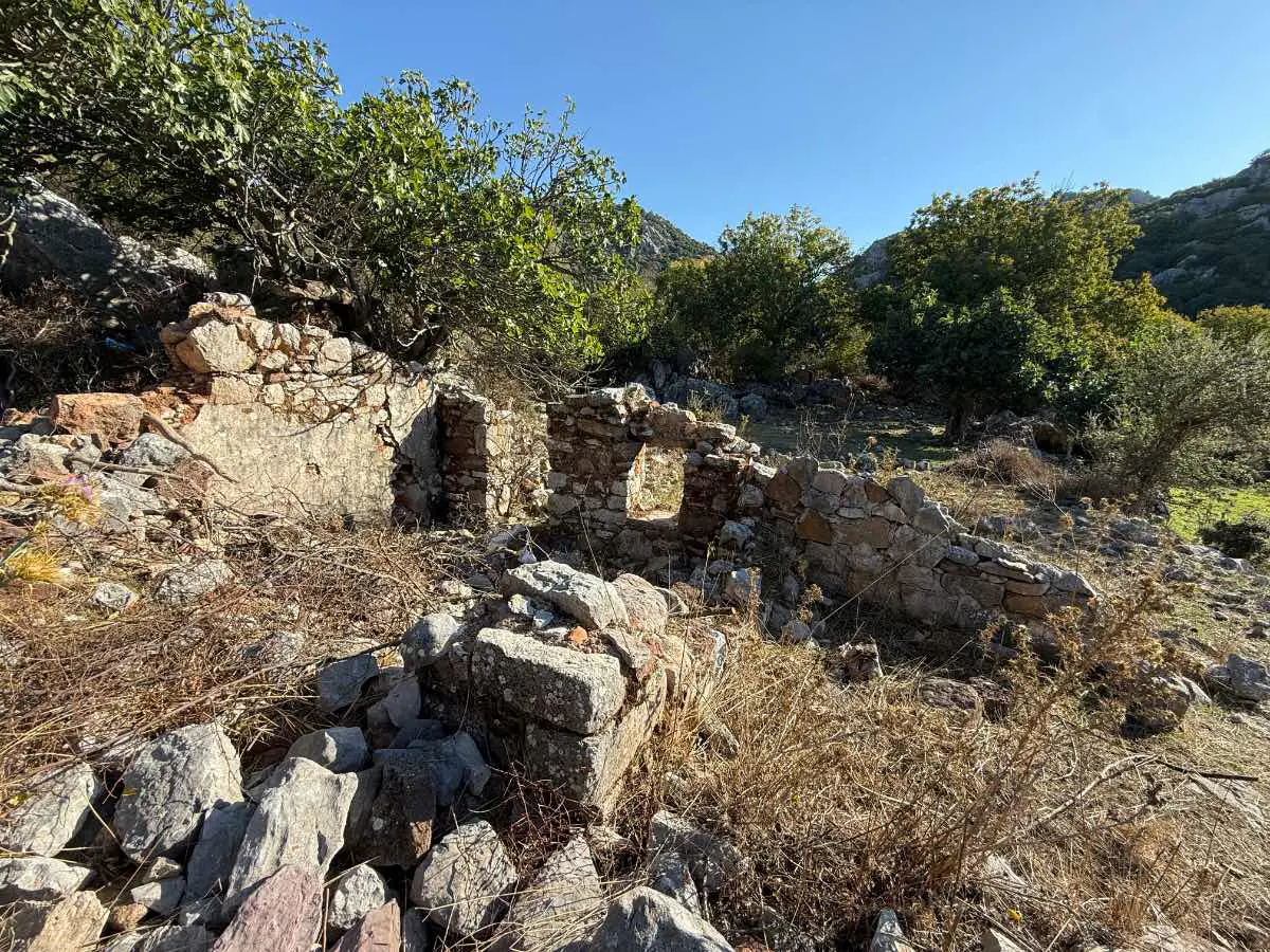 Property image 18