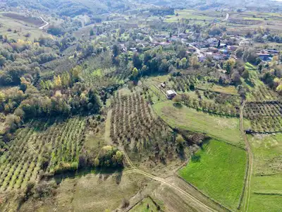 KANDIRA TERZİLER DE KONUT İMARINA ÇOK YAKIN OSB’YE 3 KM SATILIK TARLA