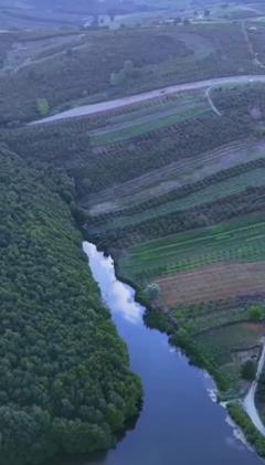 FERİZLİ GÖLET YANINDA ELETRİK SU SORUNU OLMAYAN FINDIK BAHÇESİ