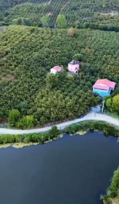 FERİZLİ GÖLET YANINDA ELETRİK SU SORUNU OLMAYAN FINDIK BAHÇESİ