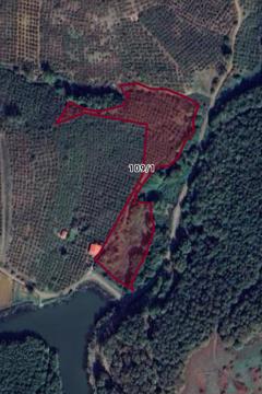 FERİZLİ GÖLET YANINDA ELETRİK SU SORUNU OLMAYAN FINDIK BAHÇESİ