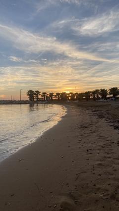 DIDIM PARLAMENTERLER SITESI SATILIK EŞYALI TADILAT GÖRMÜŞ VILLA