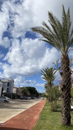 DIDIM PARLAMENTERLER SITESI SATILIK EŞYALI TADILAT GÖRMÜŞ VILLA