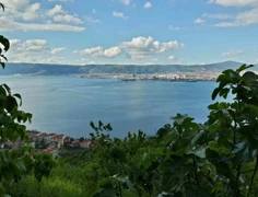 REMAX NATURAL'DEN KOCAELI HALIDERE'DE DENIZ MANZARALI TARLA