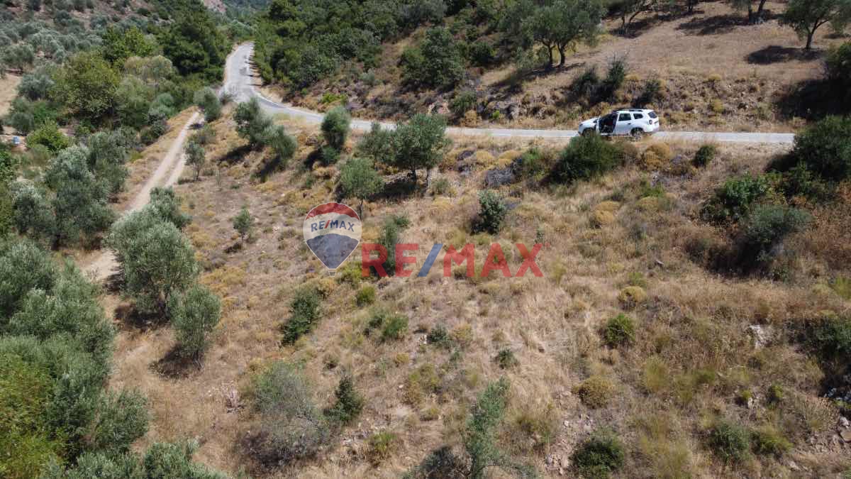 AYVACIK 7273 M2 ZEYTİNLİK KÖYE VE DENİZE YAKIN