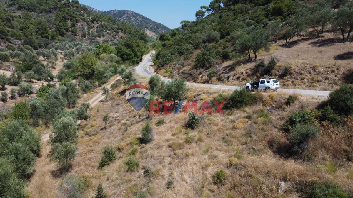 AYVACIK 7273 M2 ZEYTİNLİK KÖYE VE DENİZE YAKIN