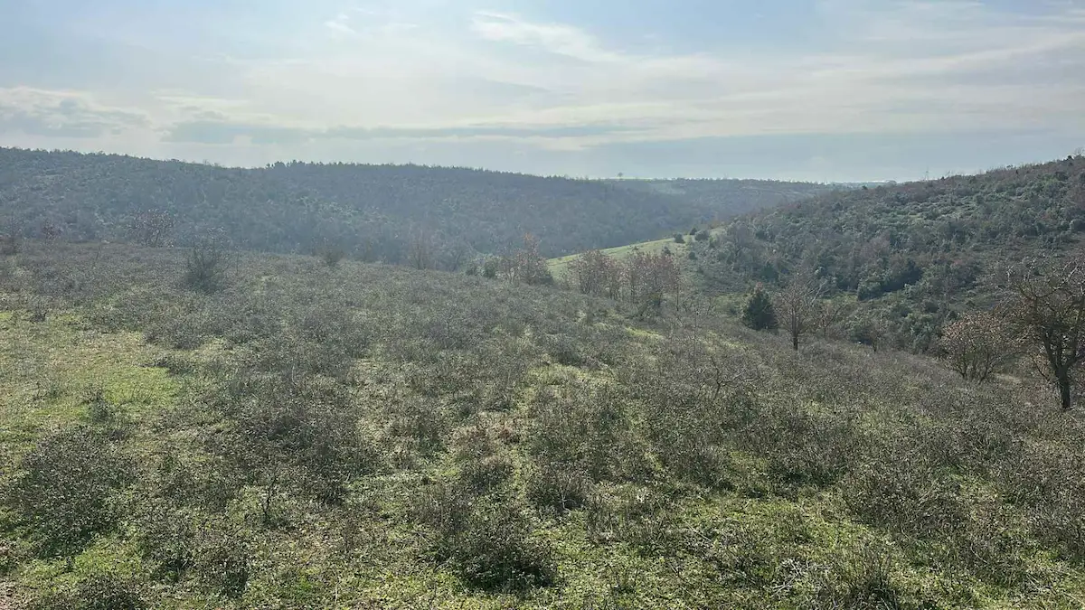 GEBZE AKVİRAN'DA 17802 M2 SATILIK ARSA