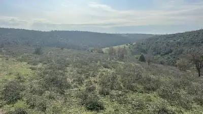 GEBZE AKVİRAN'DA 17802 M2 SATILIK ARSA