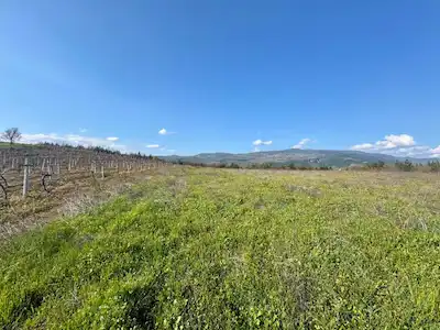 REMAX CITY'DEN GEYVE AHİBABA'DA SATILIK TARIMA UYGUN, YATIRIMLIK, GENIŞ ARAZİLİ TARLA
