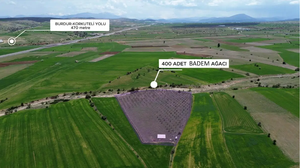 KORKUTELI YELTEN’DE SATILIK 13.223 M2 400 BADEM AĞACI HAZIR KURULU, ÇITLI & SU DEPOLU FIRSAT TARLA