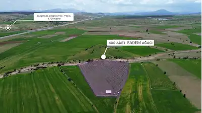 KORKUTELI YELTEN’DE SATILIK 13.223 M2 400 BADEM AĞACI HAZIR KURULU, ÇITLI & SU DEPOLU FIRSAT TARLA