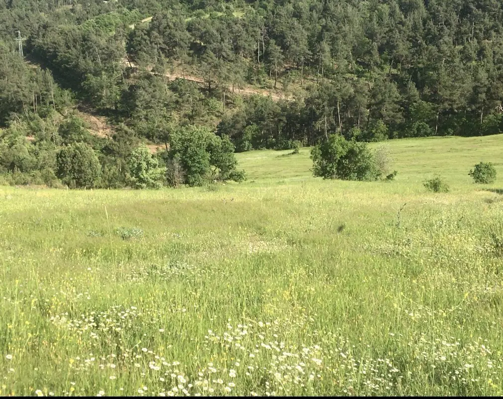 BALIKESİR KEPSUT