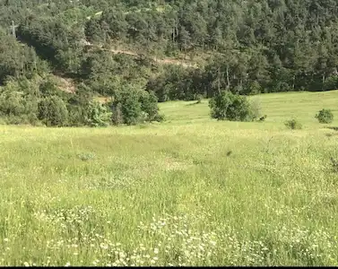 BALIKESİR KEPSUT