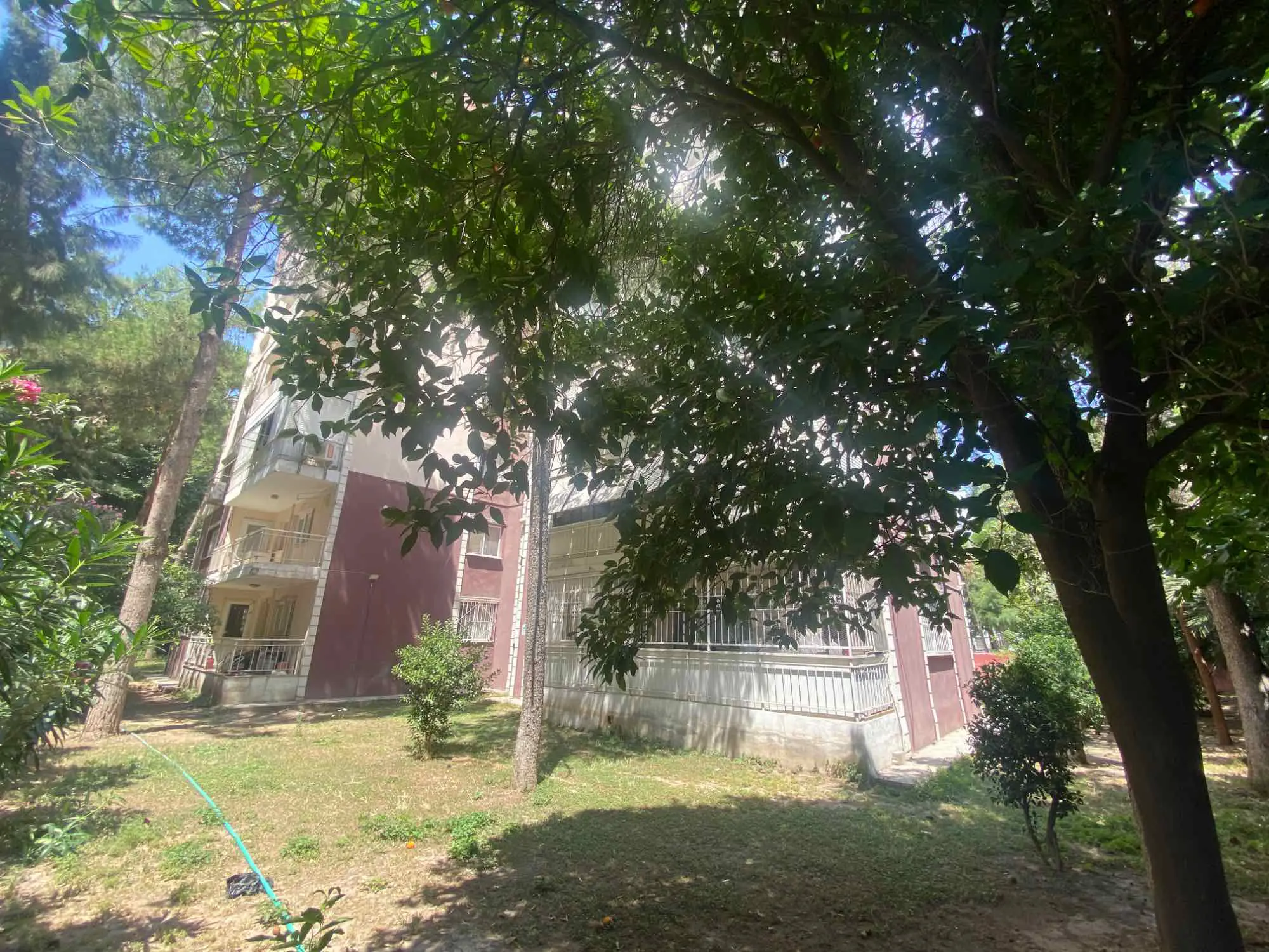 Property image 50