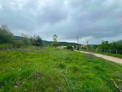 REMAX NİLSU GÜNER'DEN BOLU MERKEZ PELİTÇİK KÖYÜ’NDE SATILIK TARLA