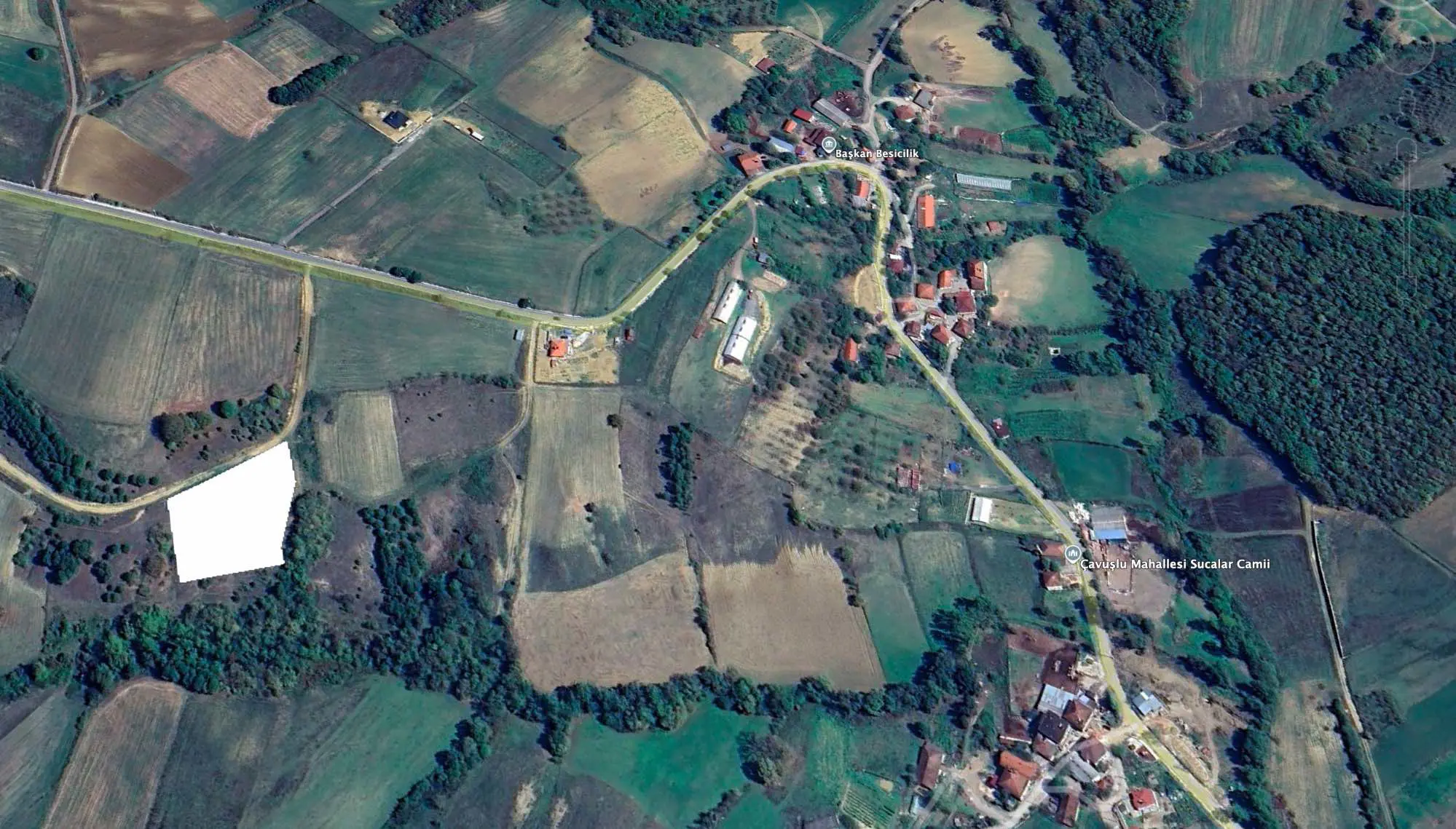 Property image 7
