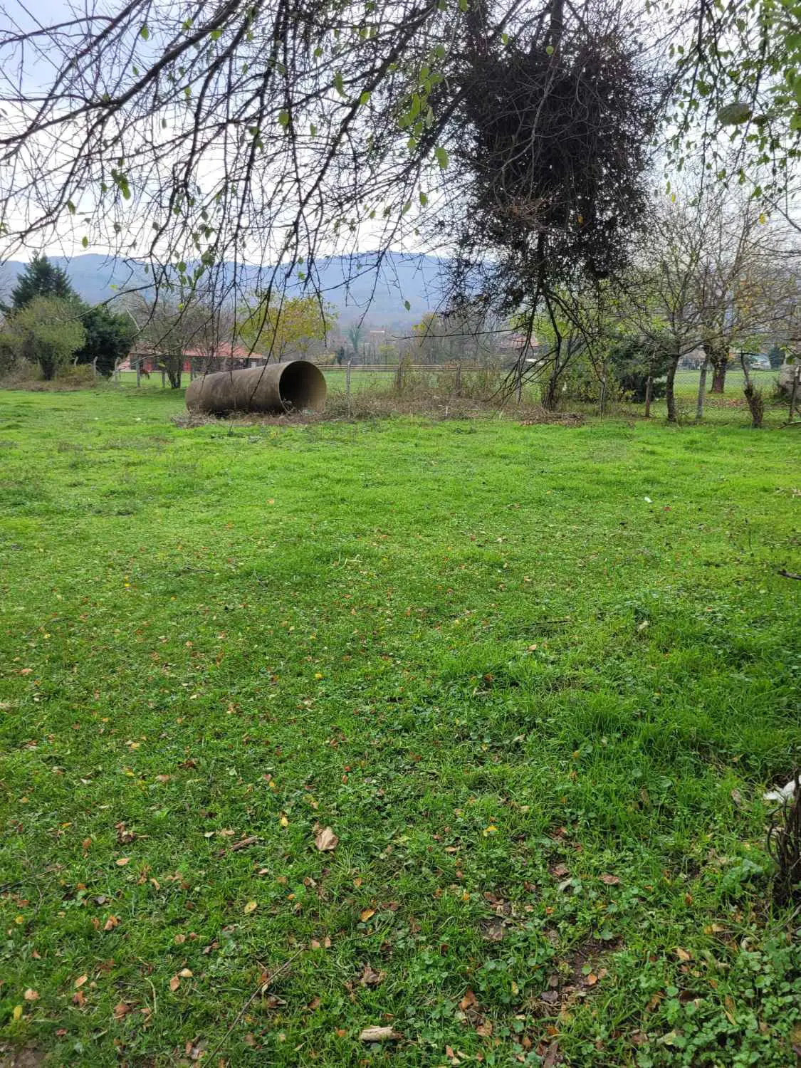 Property image 24