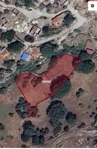 SÖKE BAĞARASI BAYIRDAMI'NDA KÖY İÇİ İNCİR BAHÇESİ