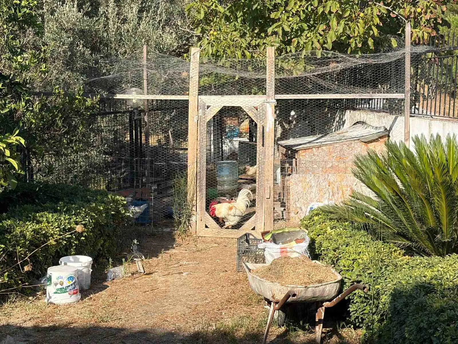Property image 19