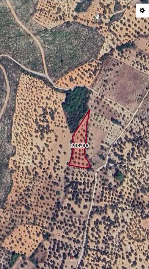URLA KADIOVACIK’TA 4.498 M² MÜSTAKİL PARSEL TARLA