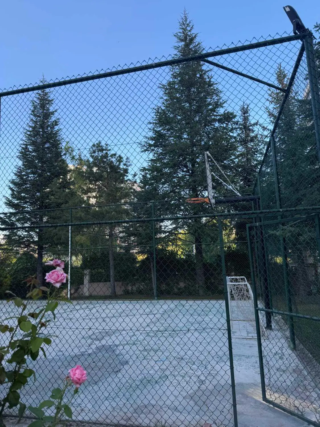 Property image 10