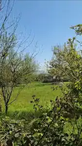 DÜZCE CUMAYERİ ORTA MAHALLESİ’NDE SATILIK ARSA