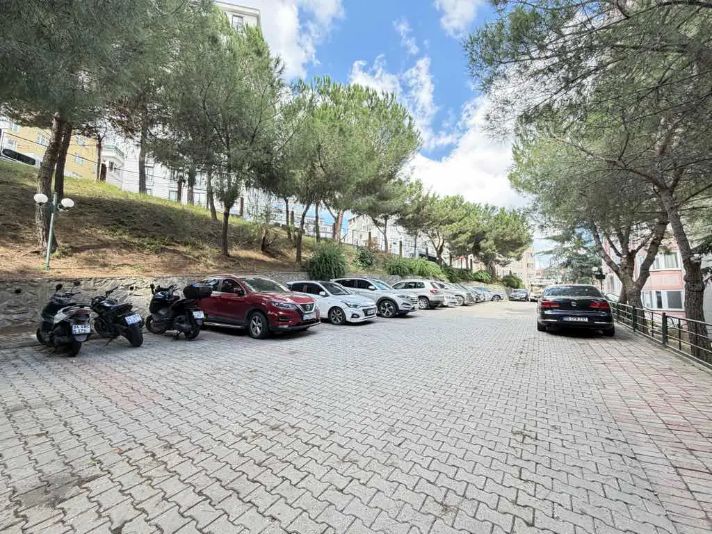 Property image 60