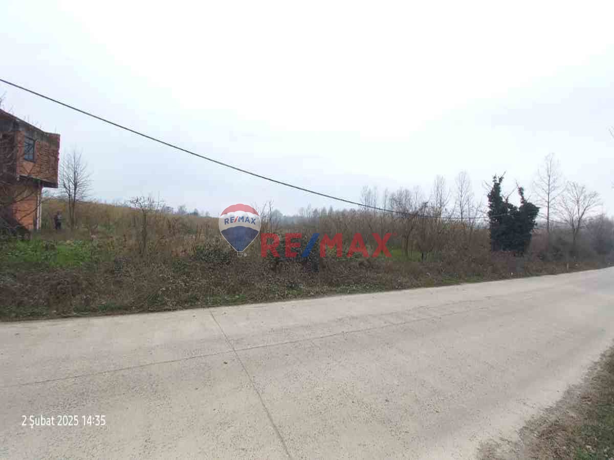 TERME YOLA CEPHE SATILIK FINDIK BAHÇESİ TARLA