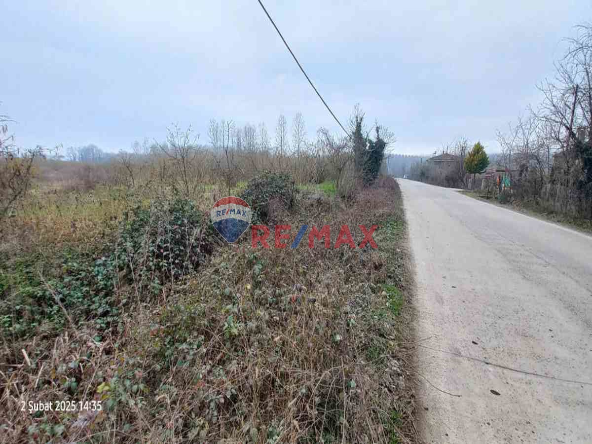 TERME YOLA CEPHE SATILIK FINDIK BAHÇESİ TARLA